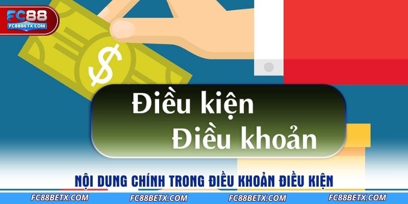 noi-dung-chinh-trong-dieu-khoan-dieu-kien
